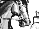 P43. Horse Race 2